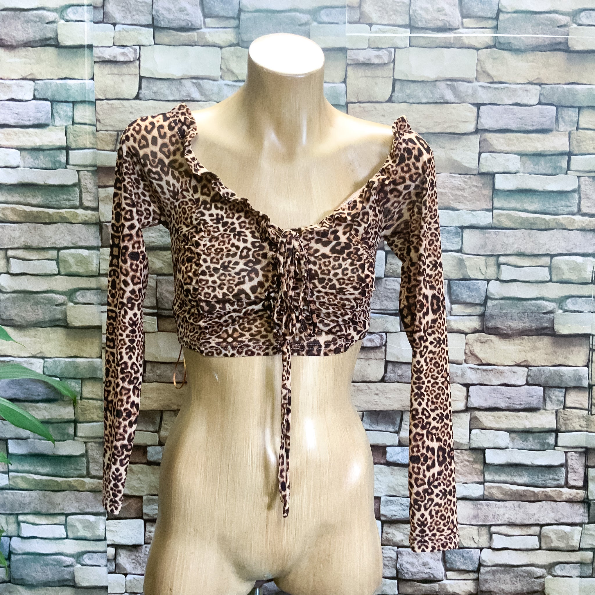 LUCK & TROUBLE Mesh Long Sleeve Brown Leopard Print Crop Top - Size 10/12