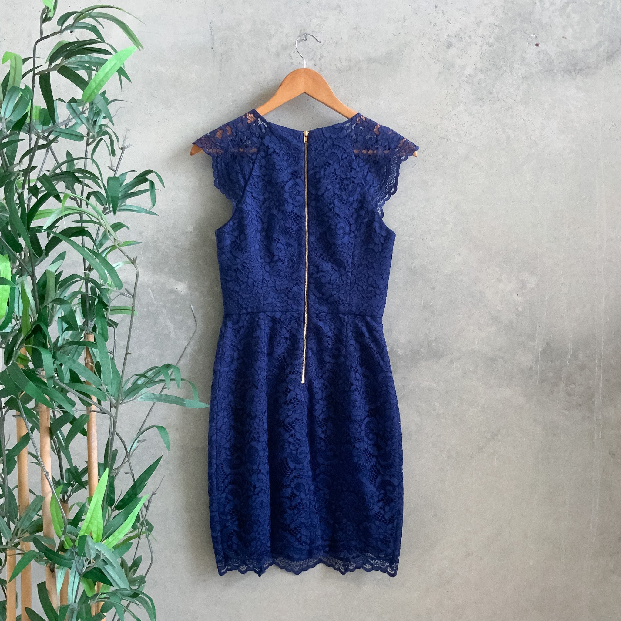 FOREVER NEW Navy Blue Lace Party/Races/Cocktail Dress - Size 6