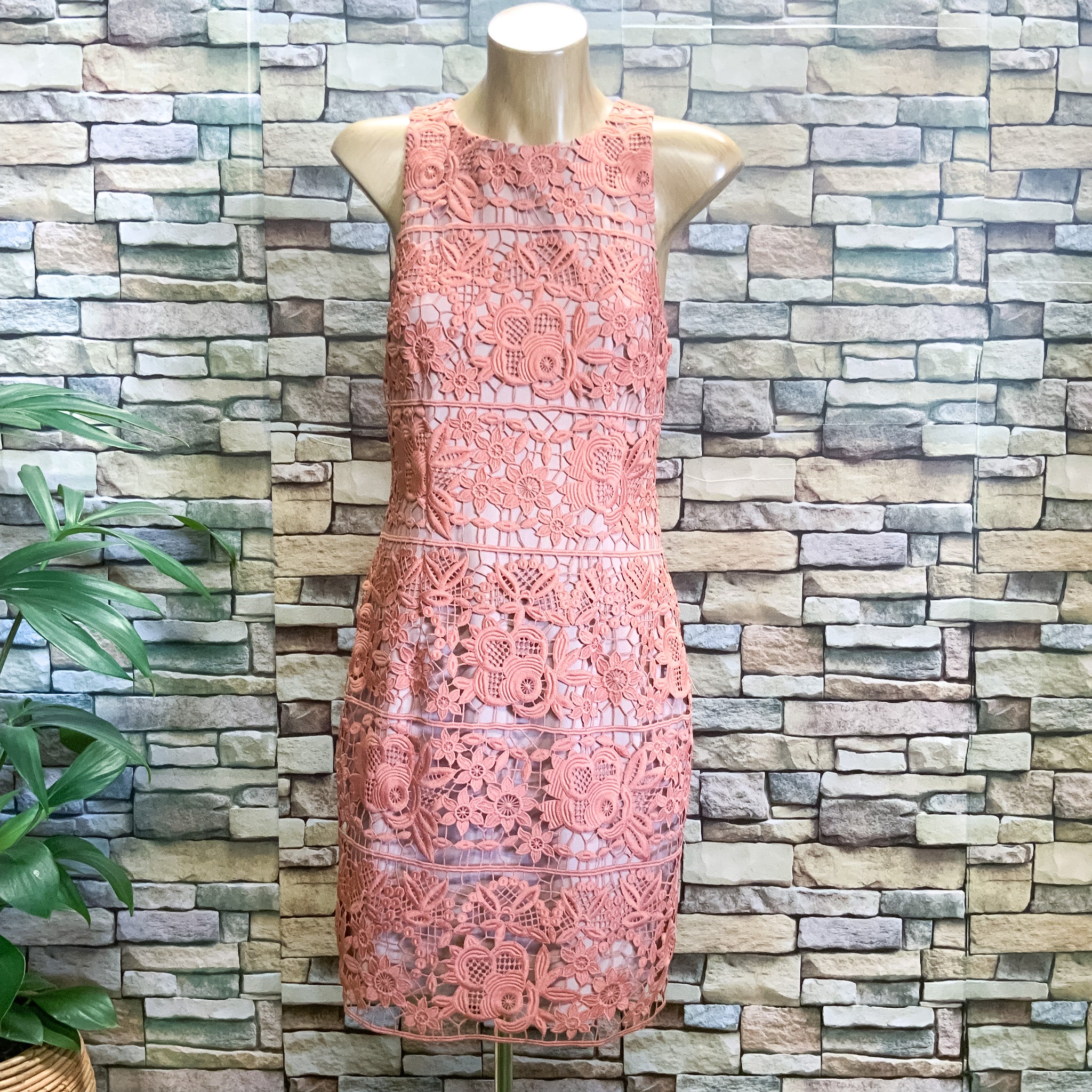 MINISTRY OF STYLE Peach Lace Form Fitting Cocktail Dress - Size 8