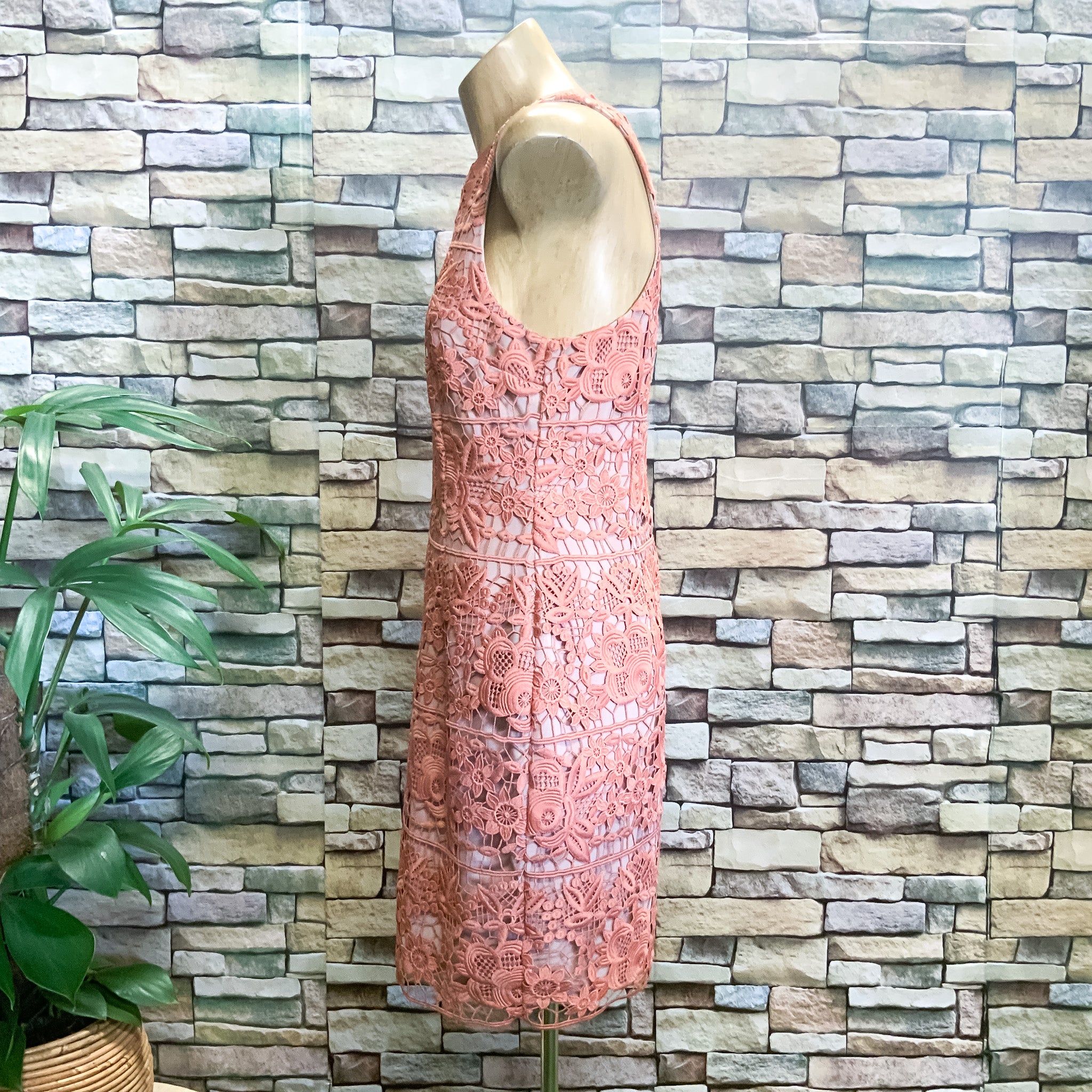 MINISTRY OF STYLE Peach Lace Form Fitting Cocktail Dress - Size 8